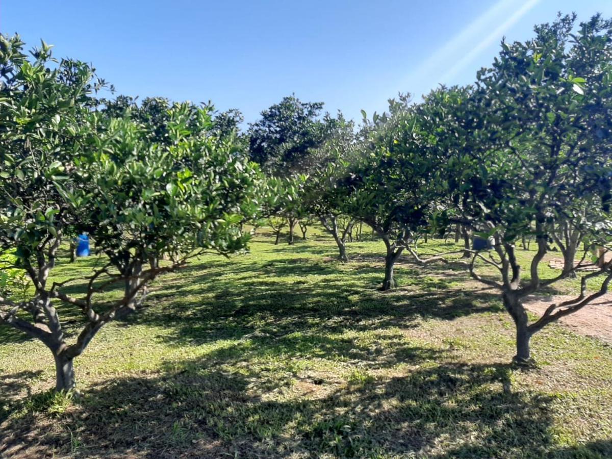 Casa Di Pecora - Pousada Rural Lauro Muller Bagian luar foto